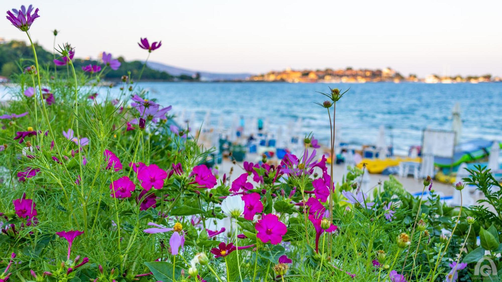 Perla Apartments Nesebar Esterno foto